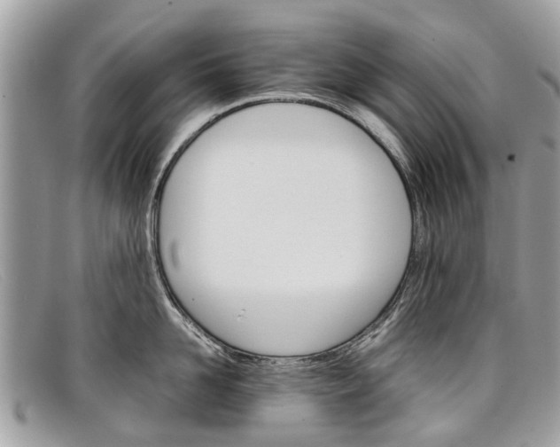 X0000098040958200804111343