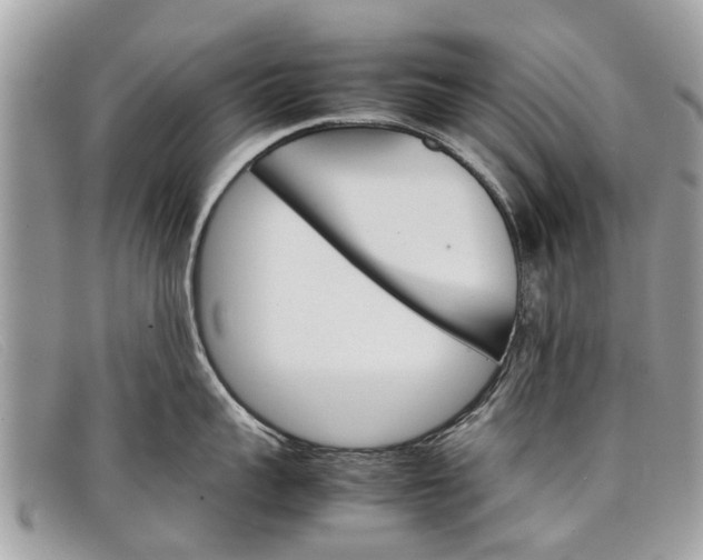 X0000098040959200804111343