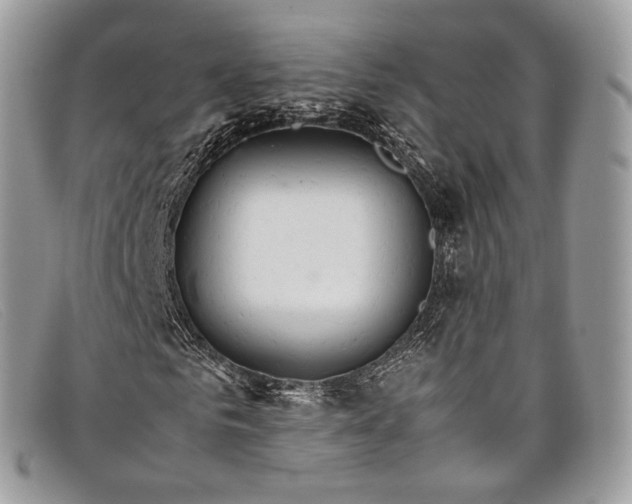 X0000098040961200804111342