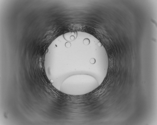X0000098040962200804111342