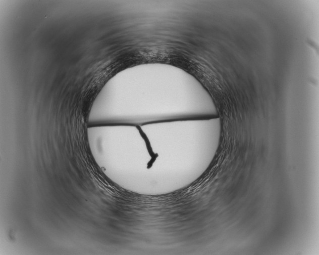 X0000098040963200804111342