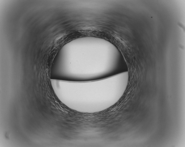 X0000098040965200804111342