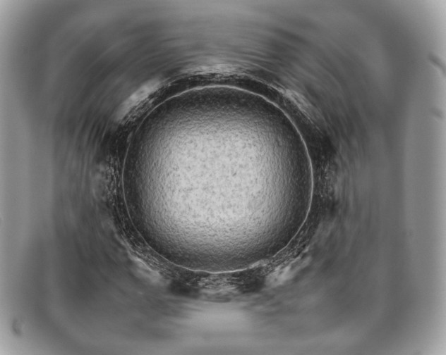 X0000098040967200804111342