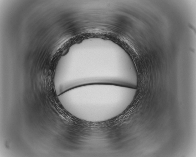X0000098040968200804111342