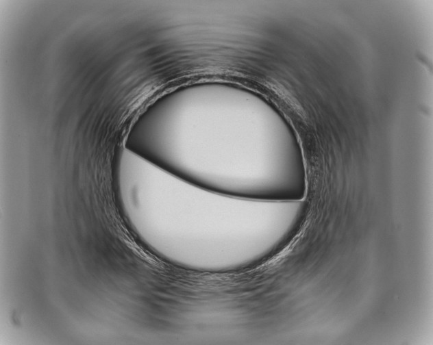 X0000098040969200804111342