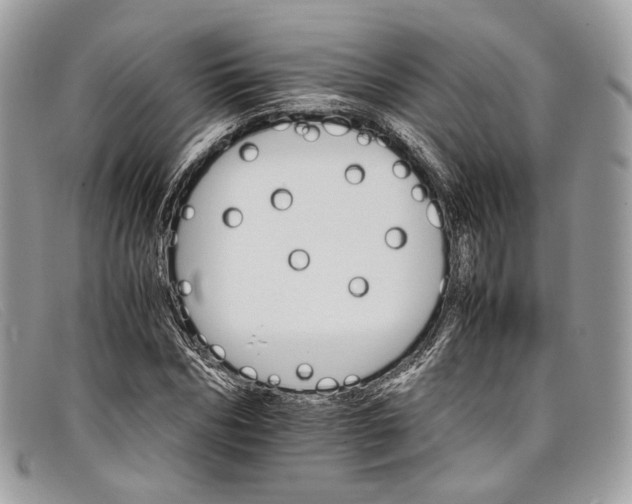 X0000098040970200804111342
