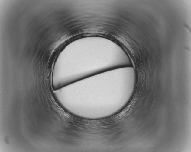 X0000098040971200804111342