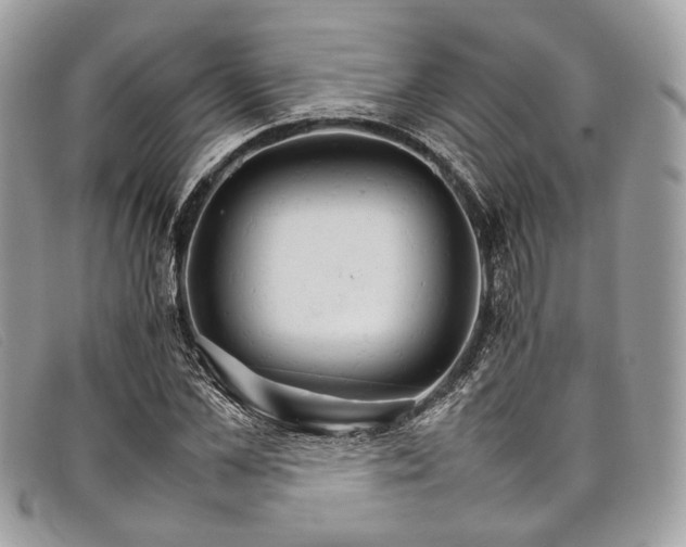 X0000098040973200804111342
