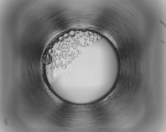 X0000098040976200804111342