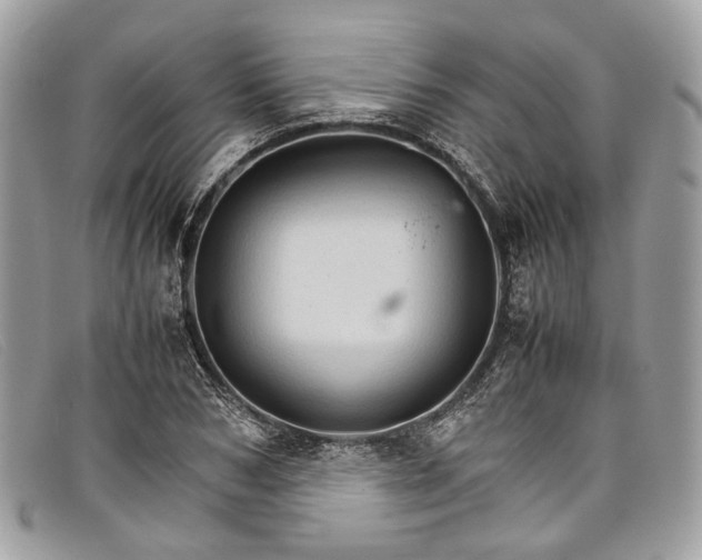 X0000098040978200804111342
