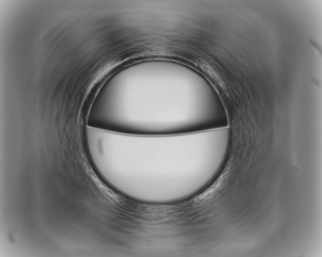 X0000098040981200804111342