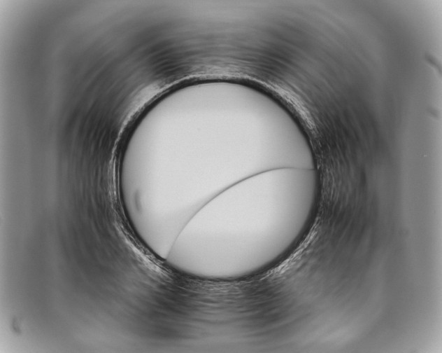 X0000098040982200804111342