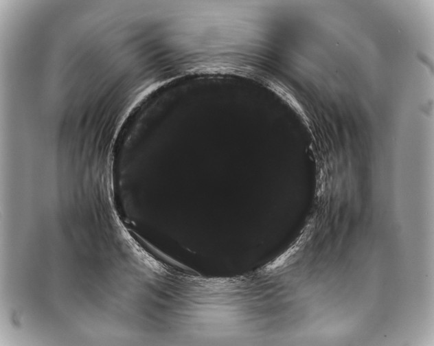 X0000098040984200804111342