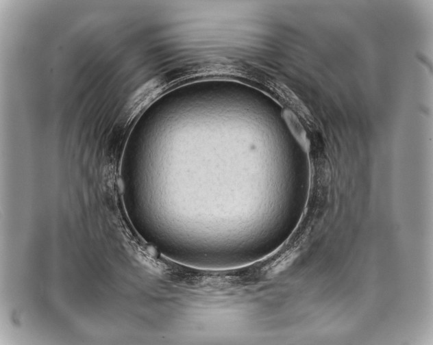 X0000098040985200804111342