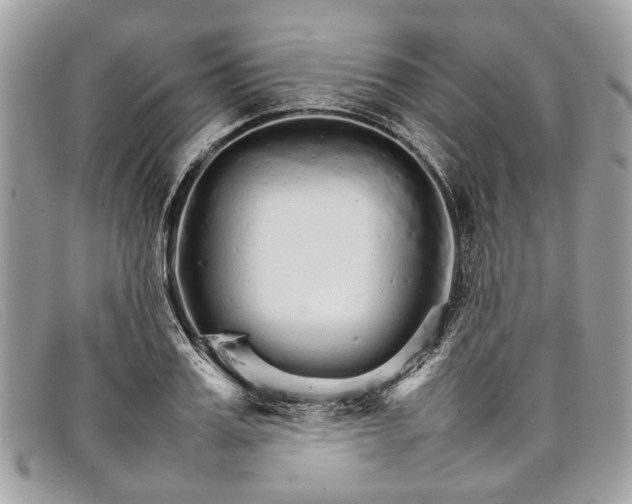 X0000098040987200804111342