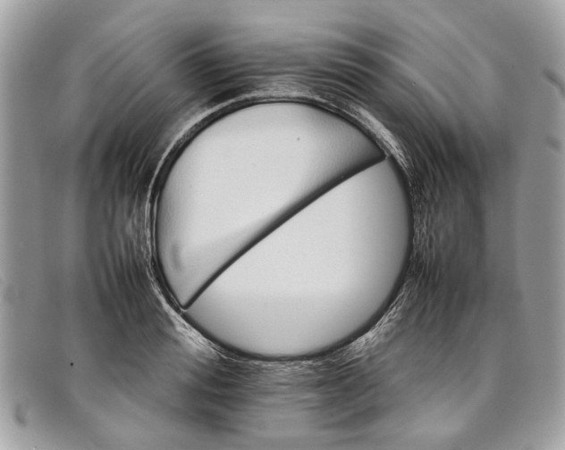 X0000098040988200804111342