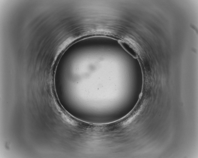 X0000098040989200804111342