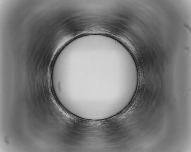 X0000098040990200804111342