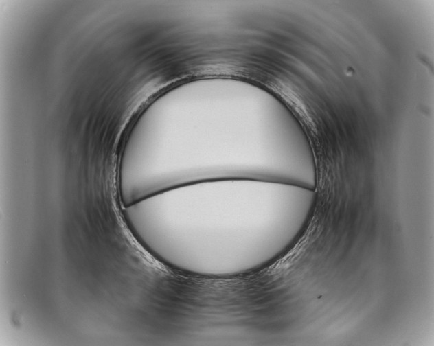 X0000098040992200804111342