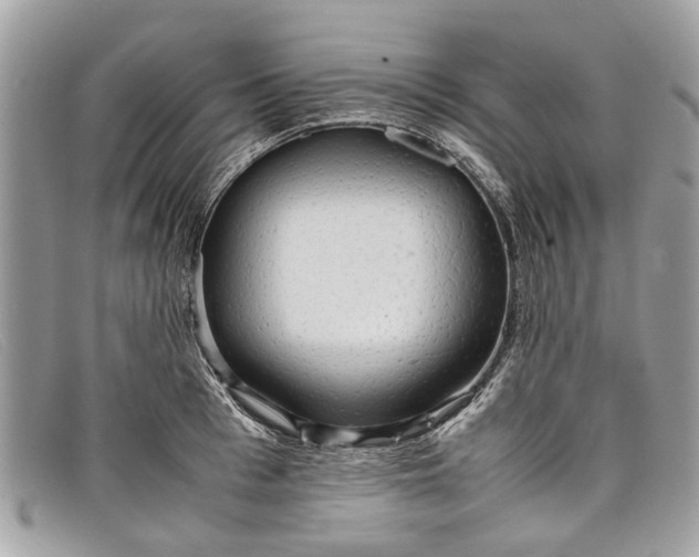 X0000098040993200804111342