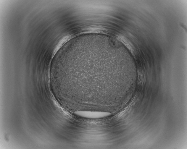 X0000098040994200804111342