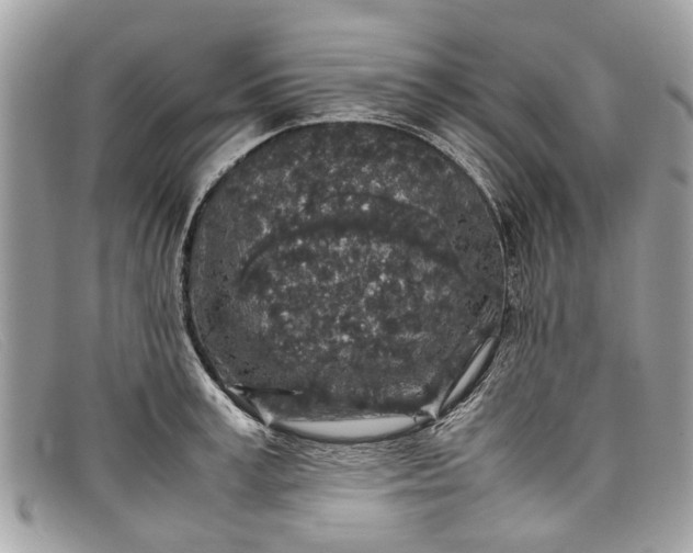X0000098040995200804111342