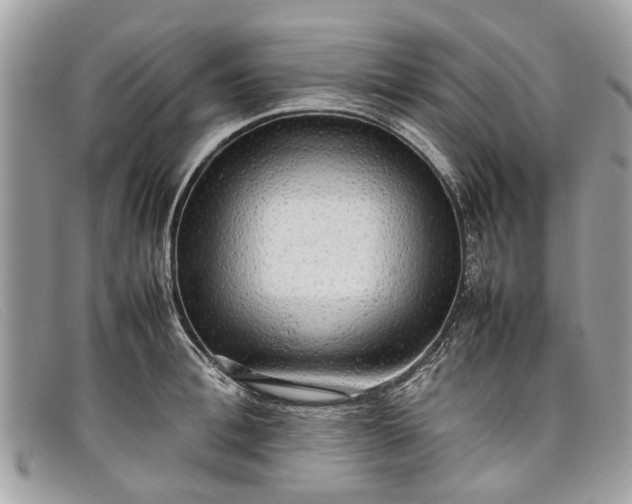 X0000098040996200804111342
