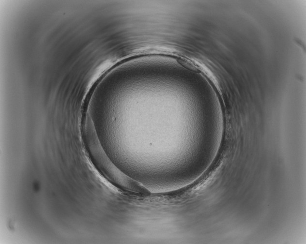 X0000098040997200804111341