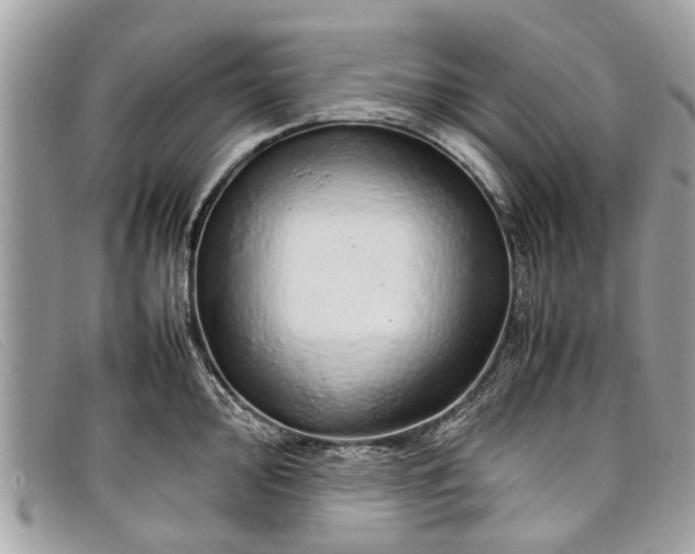 X0000098041000200804111341