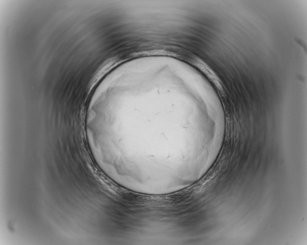 X0000098041002200804111341
