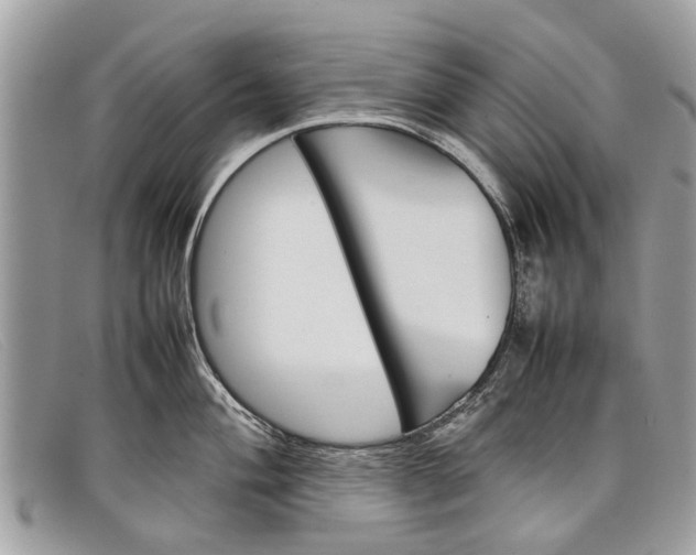 X0000098041004200804111341