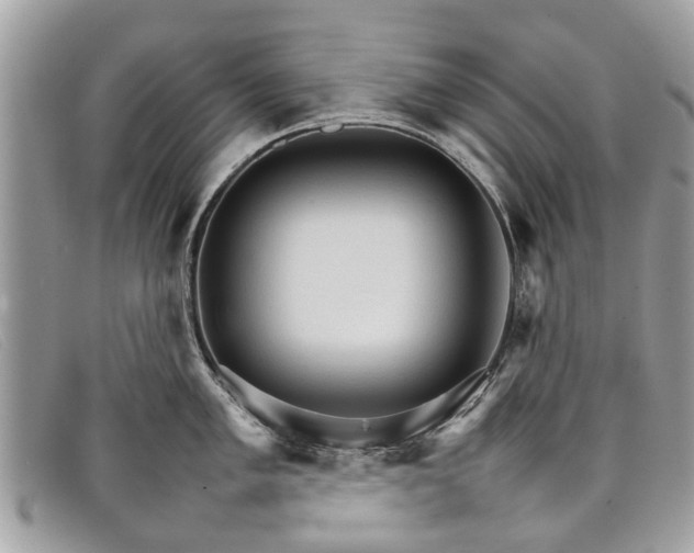 X0000098041005200804111341