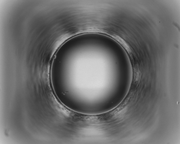 X0000098041006200804111341