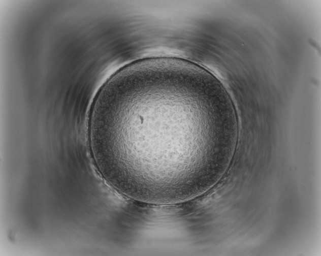 X0000098041008200804111341
