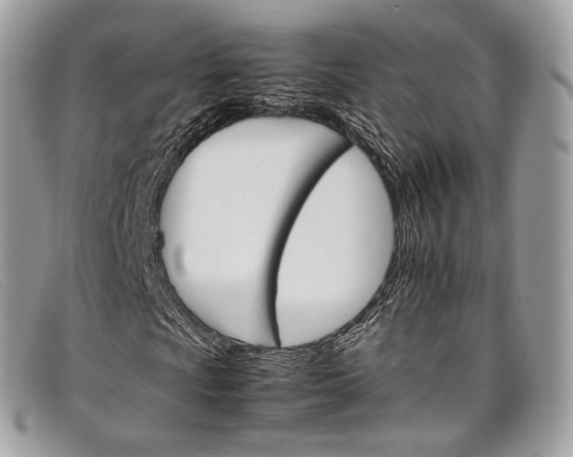 X0000098041009200804111341