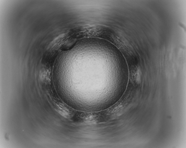X0000098041010200804111341
