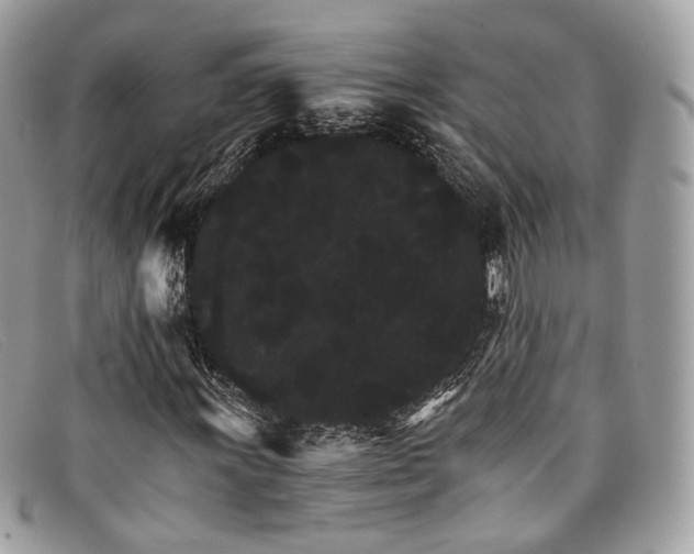 X0000098041011200804111341