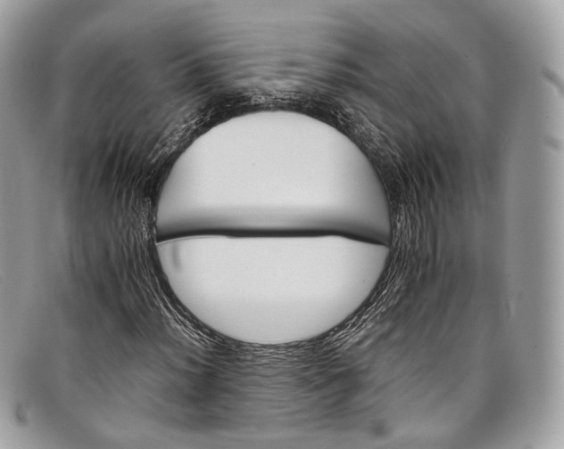 X0000098041012200804111341