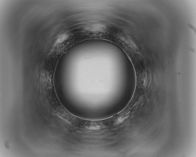 X0000098041013200804111341