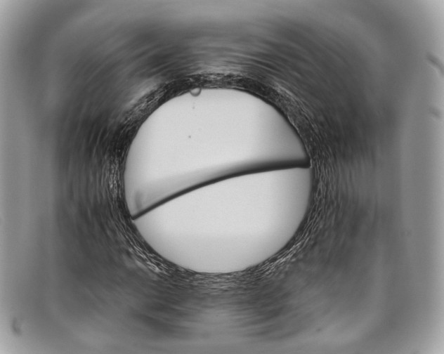 X0000098041014200804111341