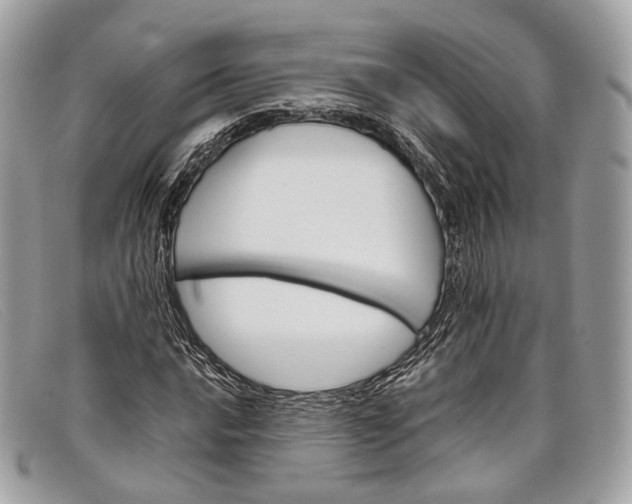 X0000098041016200804111341