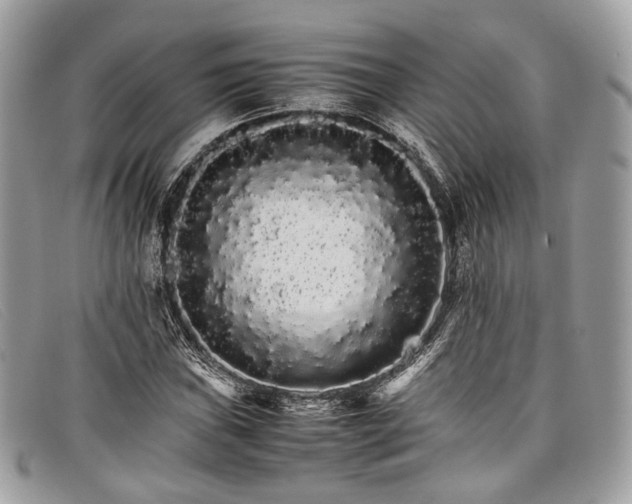 X0000098041019200804111341