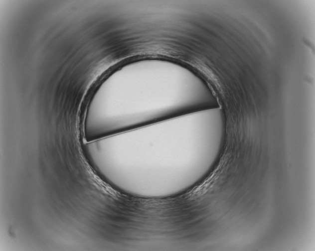 X0000098041020200804111341