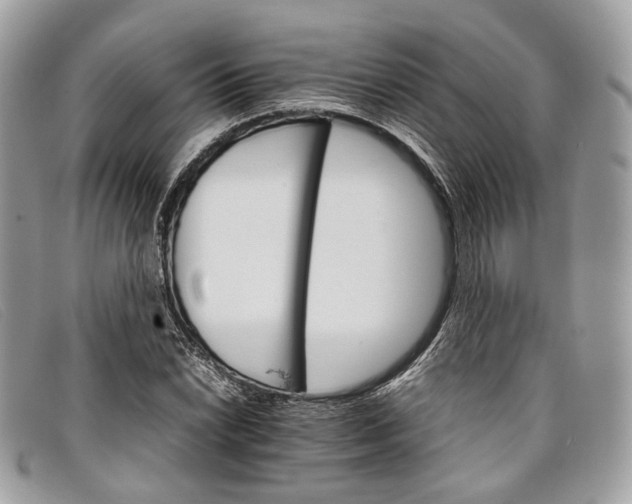 X0000098041022200804111341
