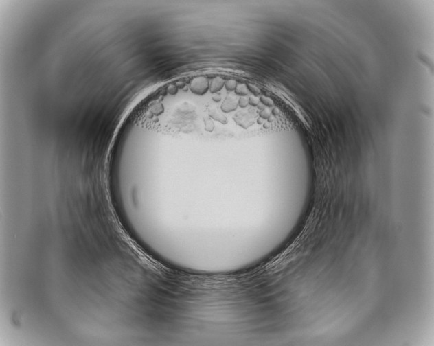 X0000098041024200804111341