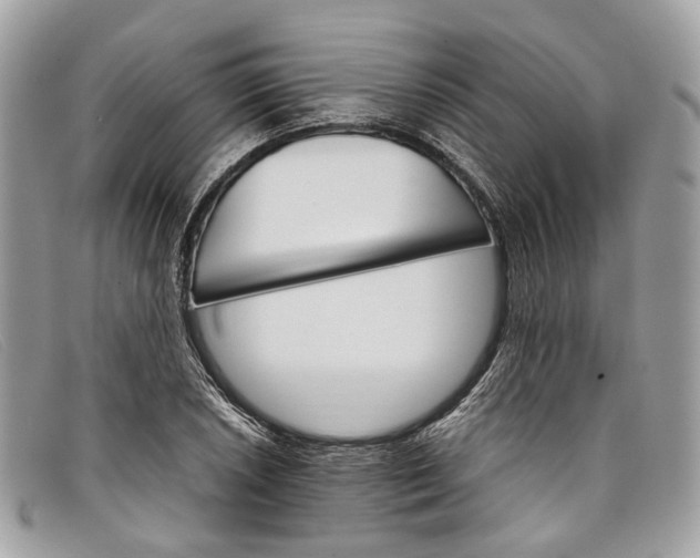 X0000098041026200804111341