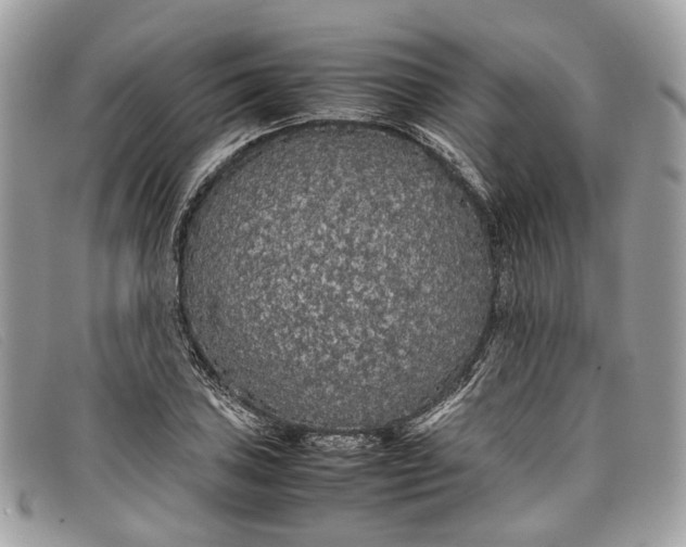 X0000098041027200804111341