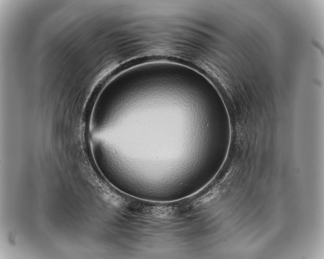 X0000098041029200804111341