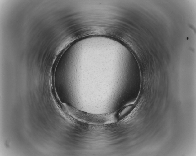 X0000098041034200804111341