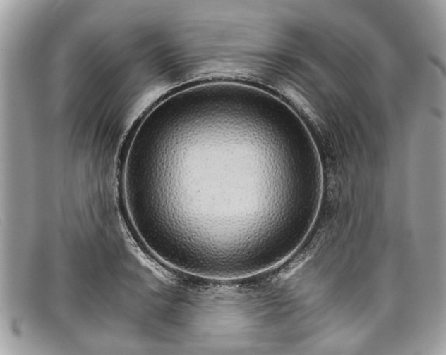 X0000098041038200804111341